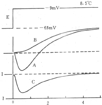 ��ѹǯʵ����ʾ��ͼ