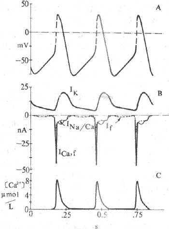 񼷿�ᶯ����λ���𲫵�λ�����ӻ���