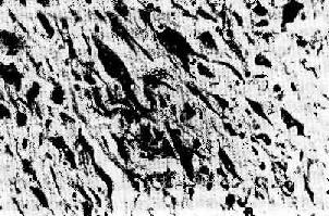 ���Ƽ���<a href=