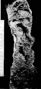 ����<a href=