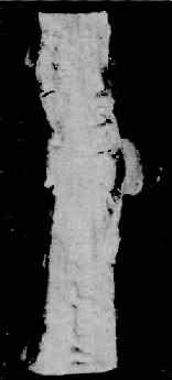 С������