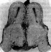 �ӹ���<a href=