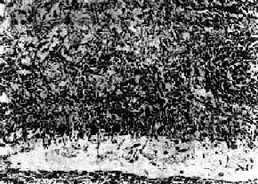 θ�������