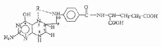 ����Ҷ�ἰ��һ̼��λȡ����Ľṹ������